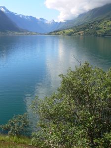 Landschaft